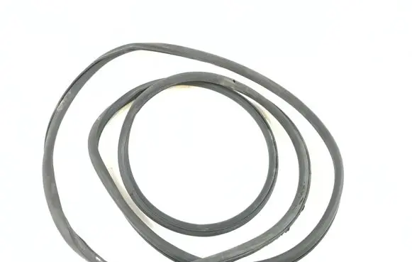 Audi A4 S4 B9 Rubber seal rear door 8W5839912