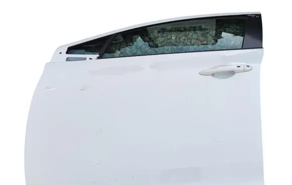 Renault Zoe Front door DLPRZ1