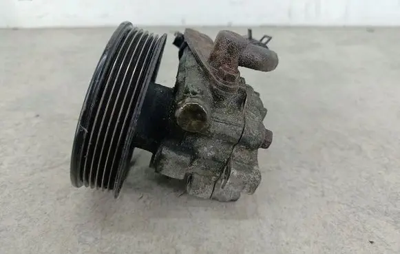 Hyundai Santa Fe Power steering pump 