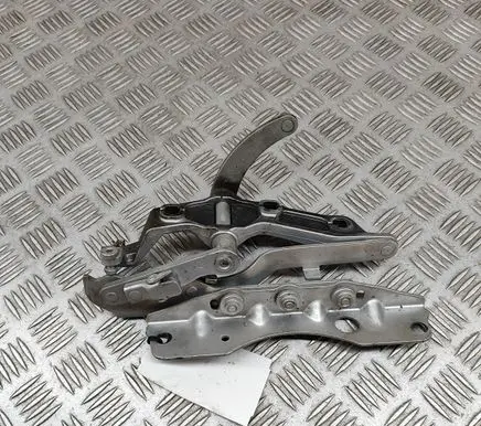 Mercedes-Benz CL C216 Engine bonnet/hood hinges A2218800428