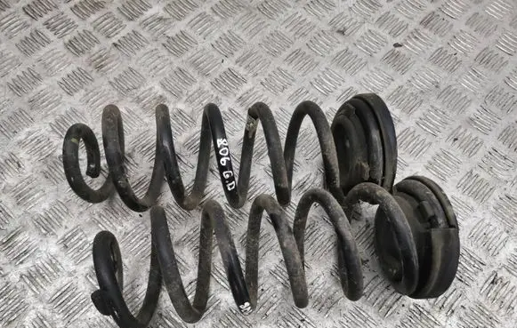 Rear coil spring