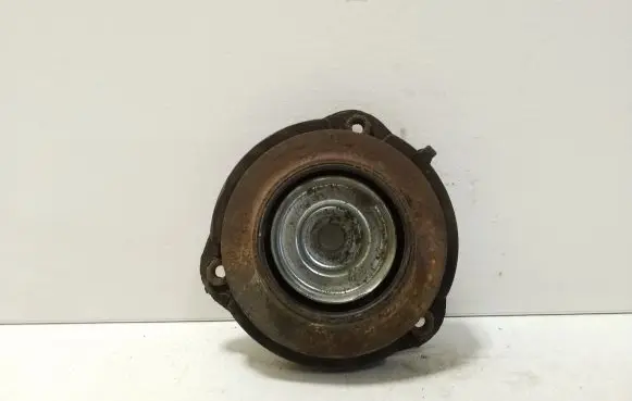 Coil spring mount