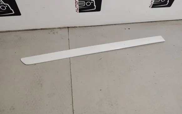 Skoda Octavia Mk2 (1Z) Rear door trim (molding) 1Z0853536