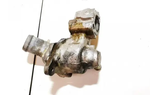 Ford Focus Engine coolant pipe/hose