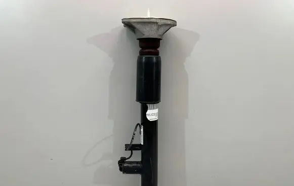 BMW 2 F22 F23 Rear shock absorber/damper 6850259