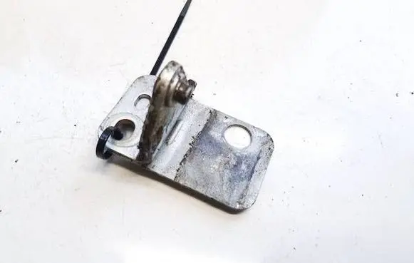 Rear door lower hinge