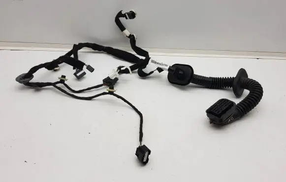 Renault Clio V Front door wiring loom 241256523R A10200