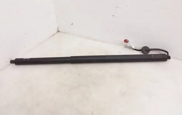 Ford Mustang Mach-E Tailgate strut LJ8BR402A54AB