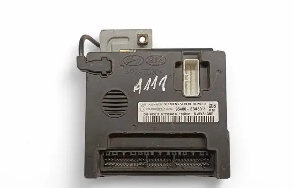 Hyundai Santa Fe Other control units/modules 954002B480