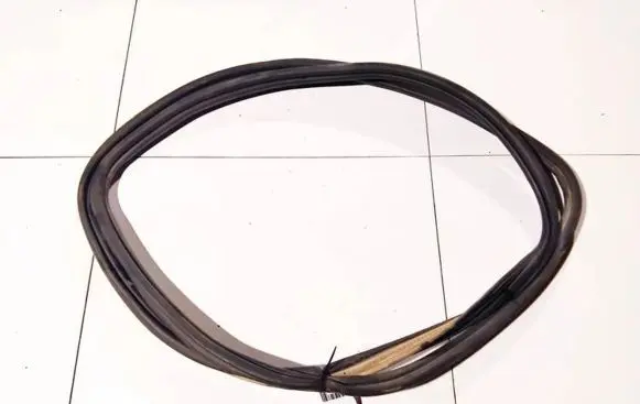 Renault Espace - Grand espace IV Rubber seal rear door 