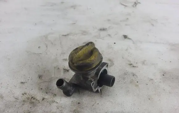 Opel Signum Oil filler cap B8131