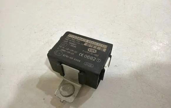 Hyundai Getz Immobilizer control unit/module 954001C500