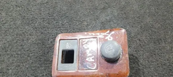 Panel lighting control switch