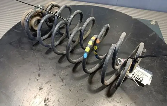 Skoda Fabia Mk3 (NJ) Rear coil spring