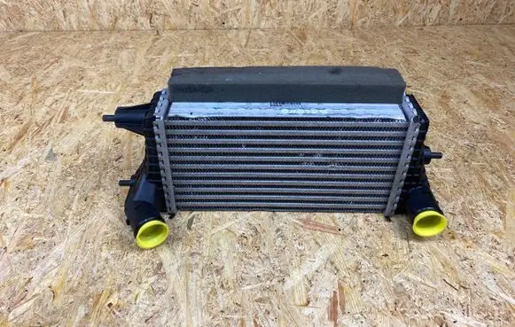 Suzuki Baleno IV Intercooler radiator EY697001