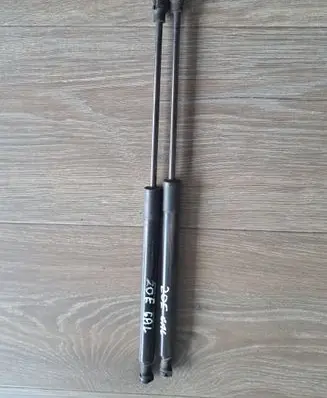 Renault Zoe Tailgate/trunk strut/damper 904502915R
