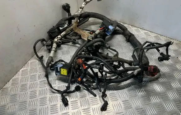 Nissan Juke I F15 Engine installation wiring loom 