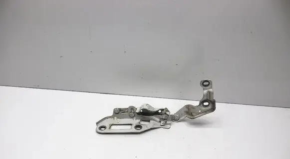 Porsche Panamera (970) Engine bonnet/hood hinges 97051115102