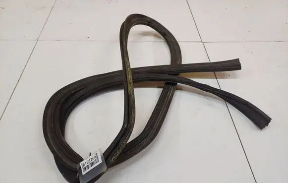 Renault Espace - Grand espace IV Rubber seal front coupe door 