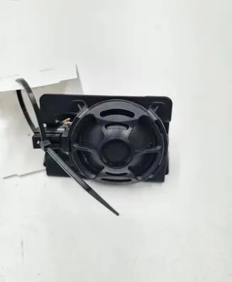 Panel speaker