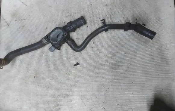 Volkswagen Sharan Thermostat housing 038121132D