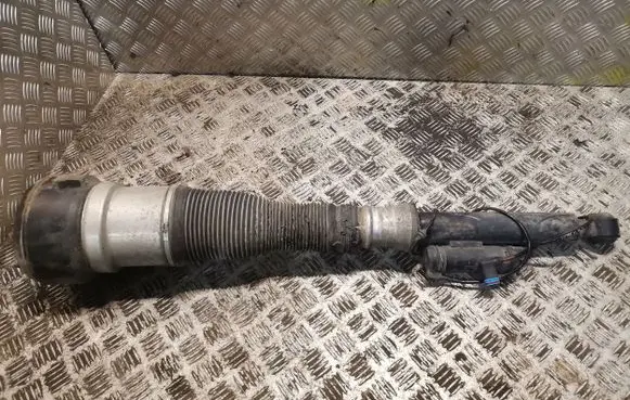 Mercedes-Benz S W221 Rear shock absorber/damper 2213205513 A2213205513