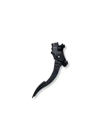 Dodge Journey Accelerator throttle pedal 04891585AE