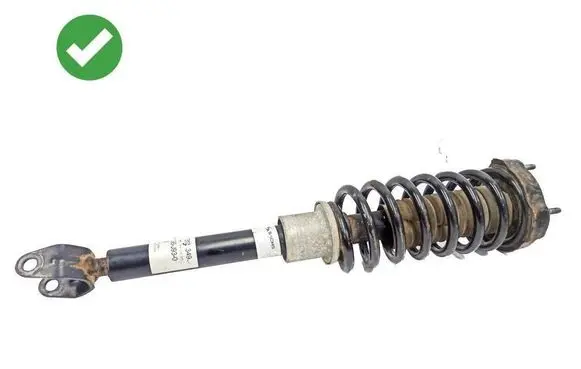 Mercedes-Benz CLS C219 Front shock absorber with coil spring 2113200026 2303230000 844904012271
