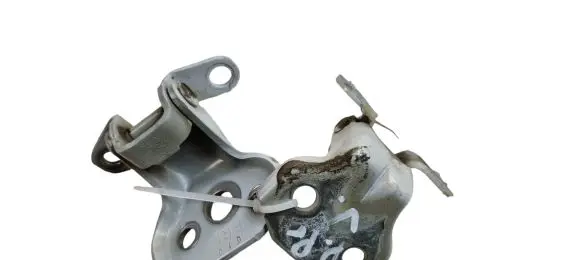 Subaru Outback (BT) Front door hinge set 070 FRL NPA