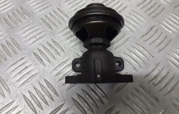 KIA Carens II EGR valve