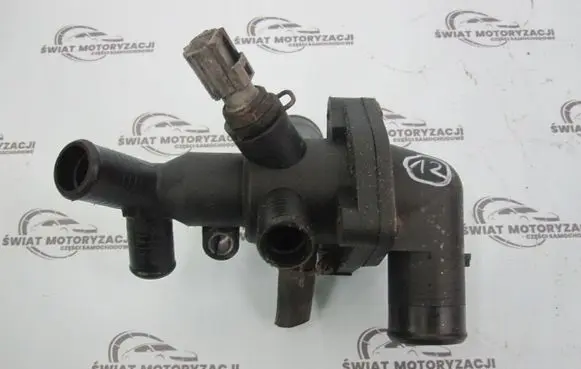 Thermostat/thermostat housing