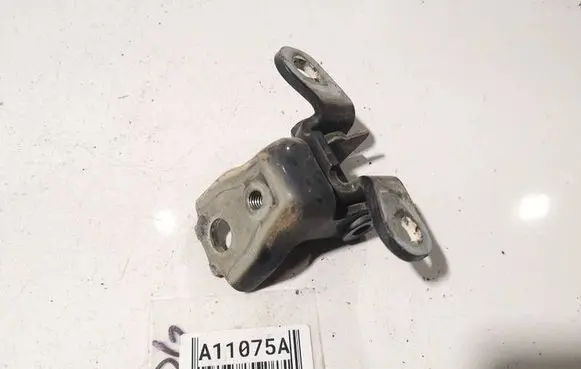 Skoda Roomster (5J) Rear door lower hinge 
