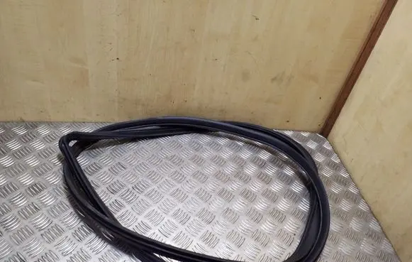 Toyota RAV 4 (XA20) Front door rubber seal