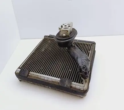 Volkswagen PASSAT B6 Air conditioning (A/C) radiator (interior) 