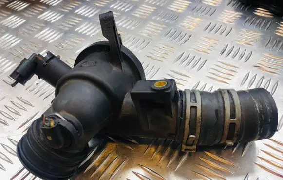 Thermostat/thermostat housing