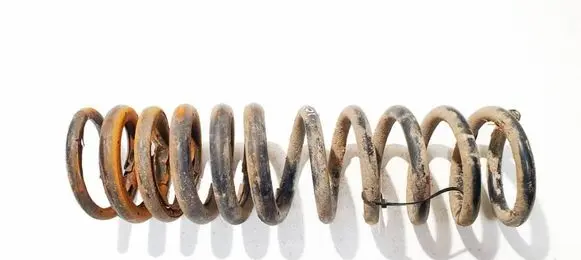 Ford Focus Rear coil spring