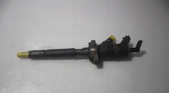 Citroen C3 Fuel injector