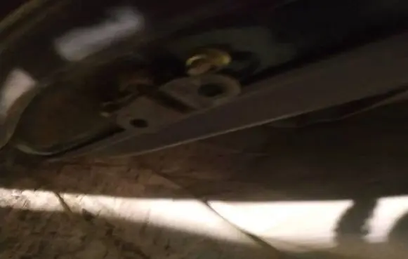 Rear door check strap stopper