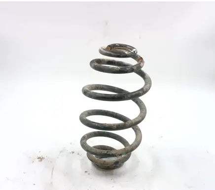 Volkswagen PASSAT B5.5 Rear coil spring
