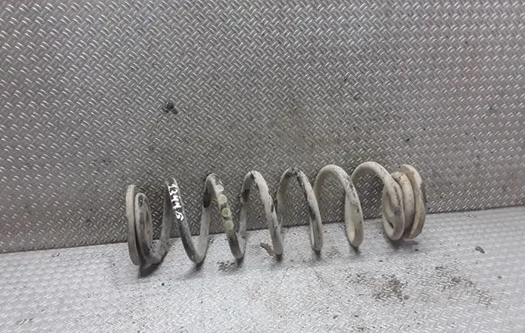 Skoda Octavia Mk2 (1Z) Rear coil spring