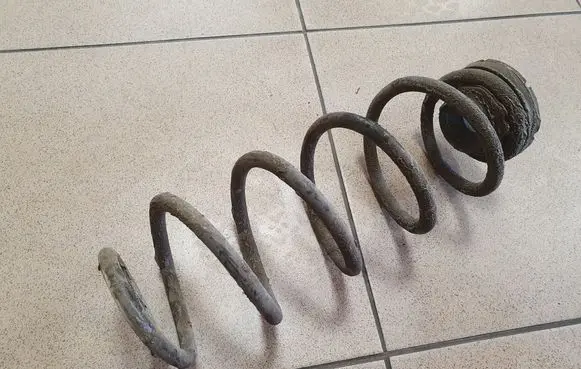 Rear coil spring
