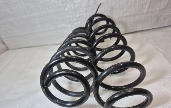 Rear coil spring
