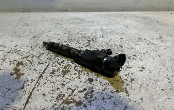 Renault Megane II Fuel injector 0445110110B