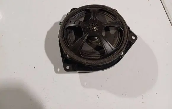 Lexus RX 300 Front door speaker 861600W570
