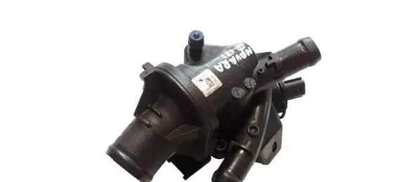 Thermostat/thermostat housing