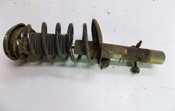 Front shock absorber with coil spring