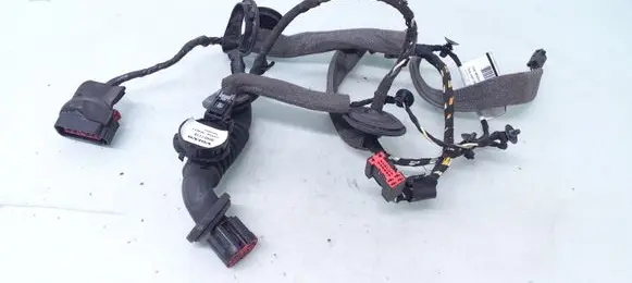 Rear door wiring loom