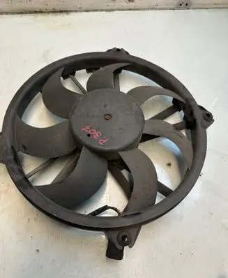 Peugeot 307 Electric radiator cooling fan 1233