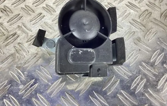 Horn signal