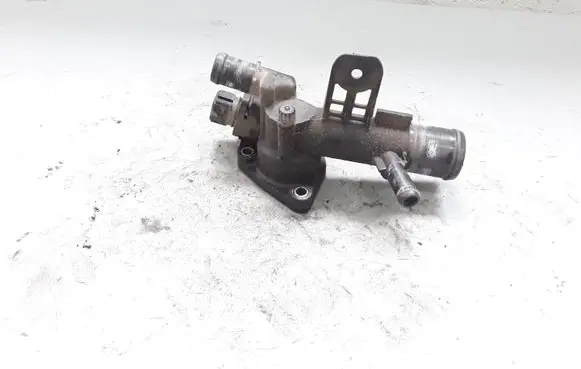 Thermostat/thermostat housing